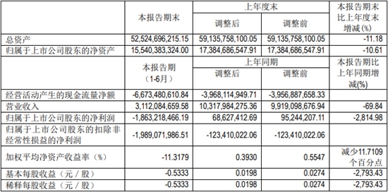 经济日报-中国经济网 郭跃|销量暴跌导致北汽蓝谷上半年净利下滑2814.98%