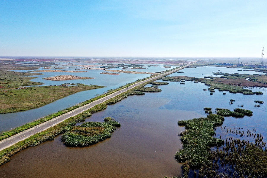 解放军报客户端|【中国梦·黄河情】黄河万里入胸怀！齐鲁大地奏响幸福大河新乐章